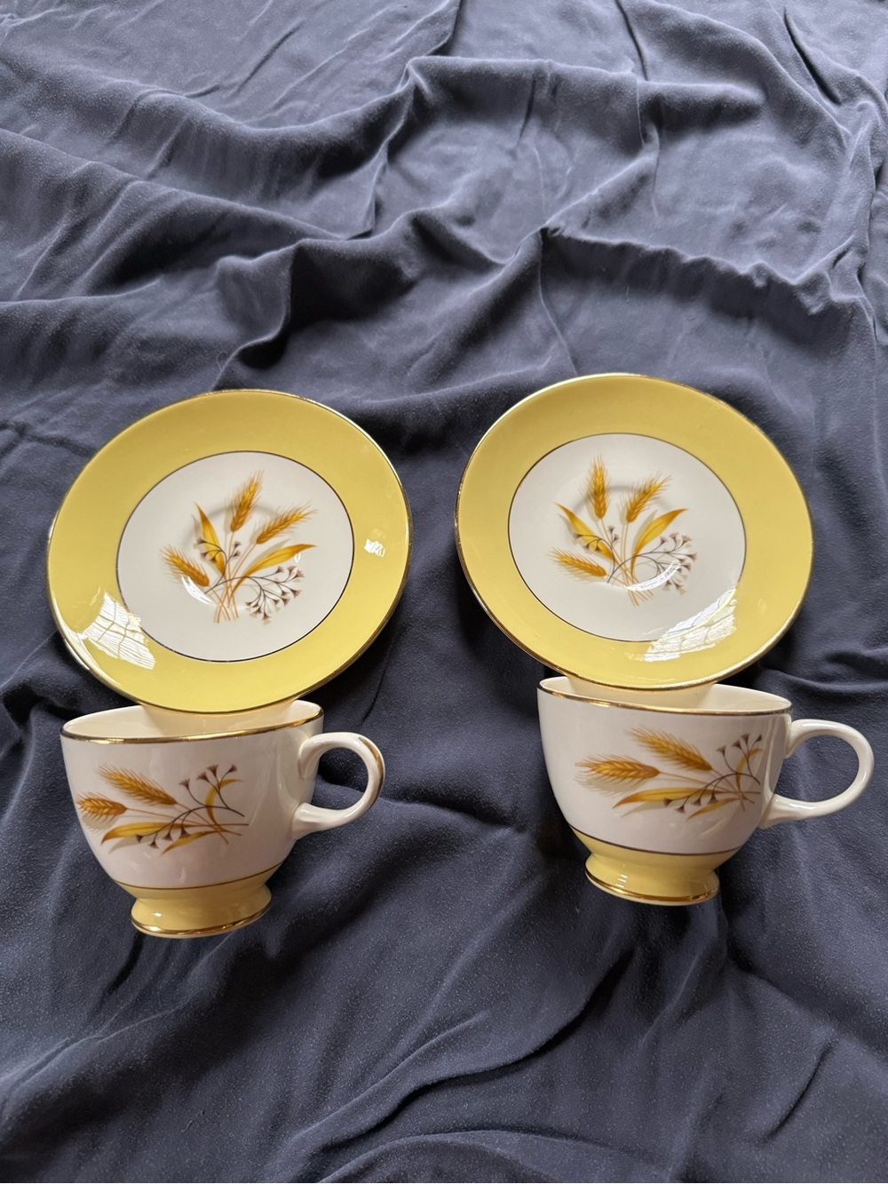 Two vintage Autumn Gold teacups and saucers by Century Service
